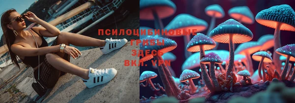 мяу мяу кристалл Алексин