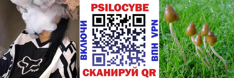 Псилоцибиновые грибы прущие грибы  Анива 